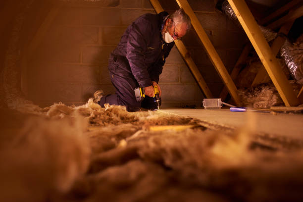 Professional Insulation Installation & Removal in Deerwood, TX